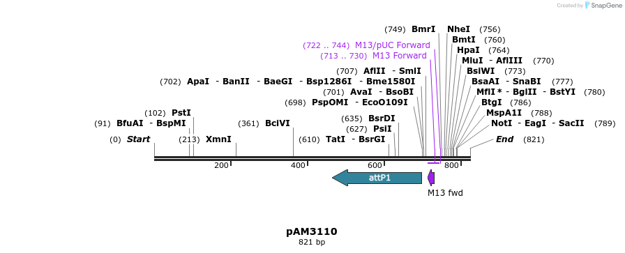 73178_map