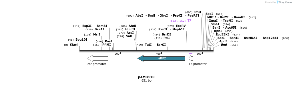 73179_map