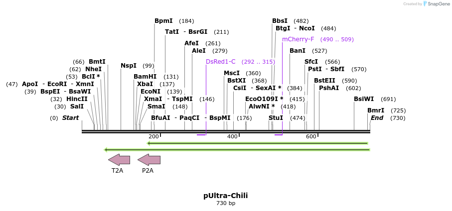 73184_map