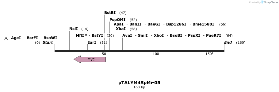 73185_map
