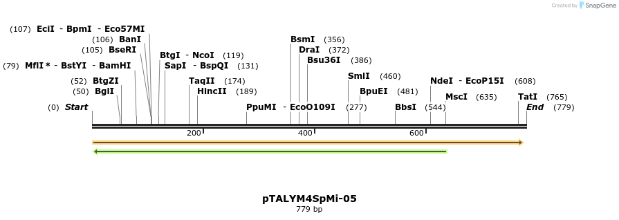 73186_map