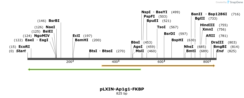 73188_map