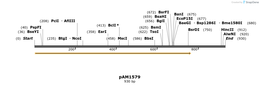 73190_map