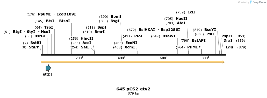 73191_map