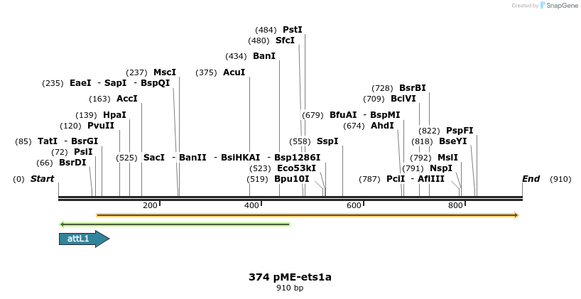 73192_map