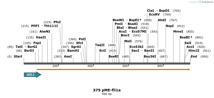 73194_map