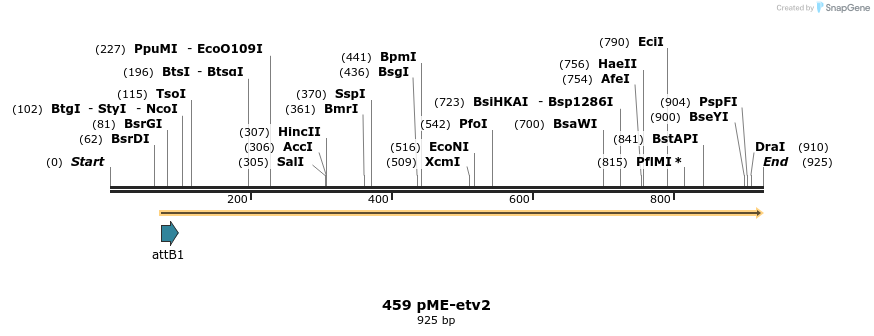73195_map