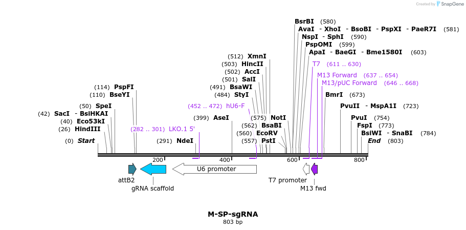 73198_map