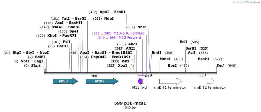 73199_map