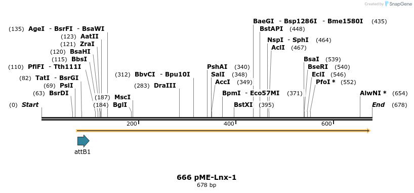 73201_map