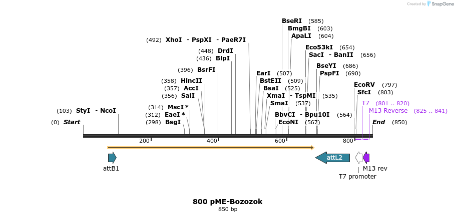 73202_map