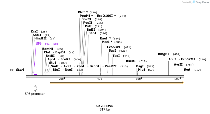 73203_map
