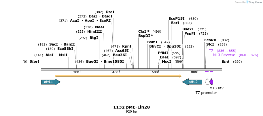 73204_map