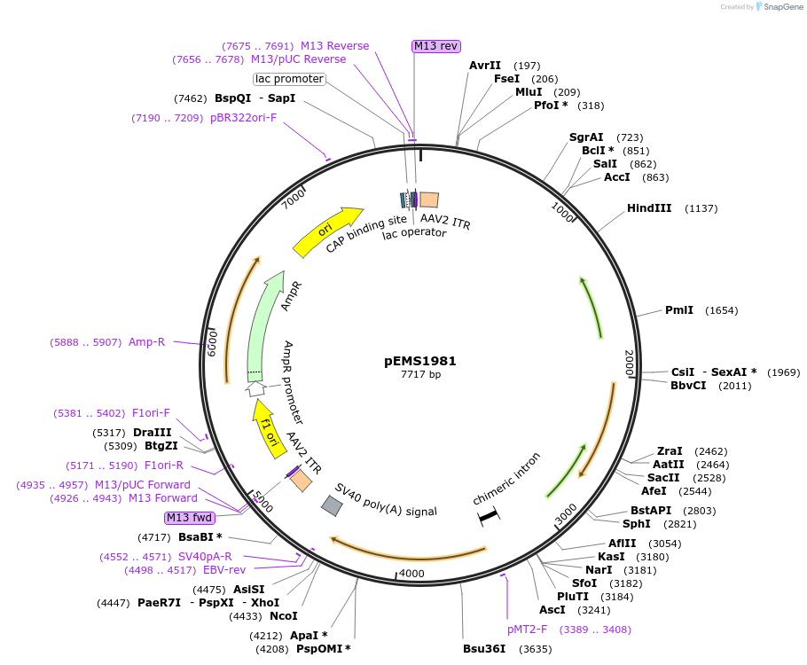 73210_map