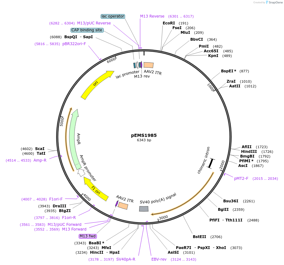 73214_map