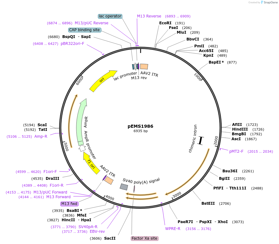 73215_map