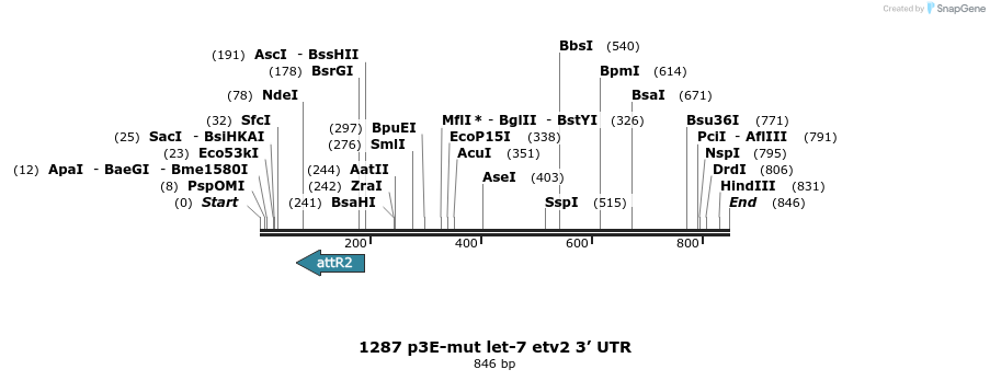 73226_map