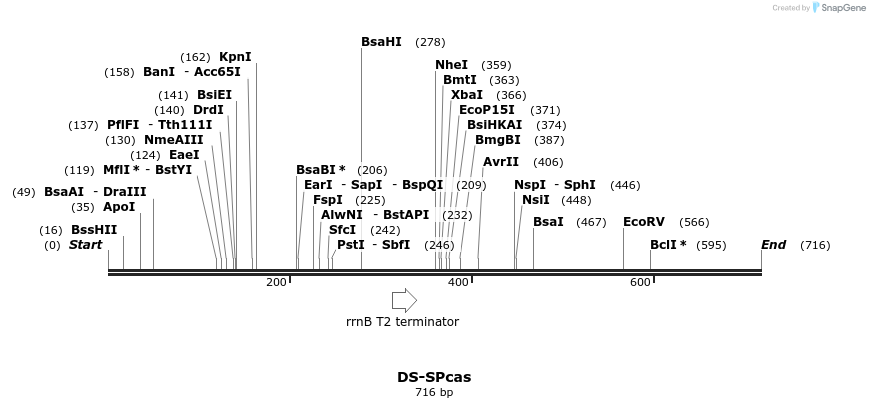 73243_map