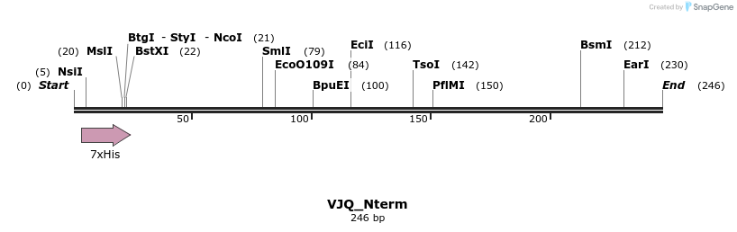 7325_map