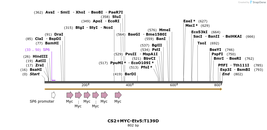 73251_map