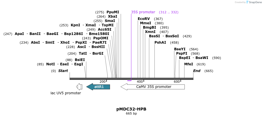 73255_map