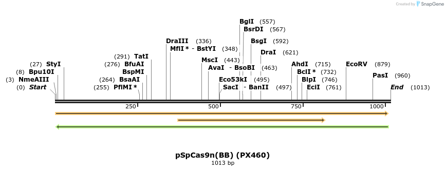 73256_map