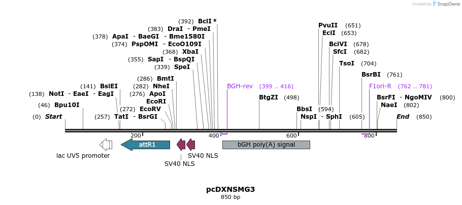 73259_map