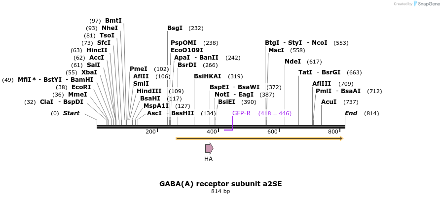 73262_map