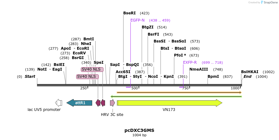 73263_map