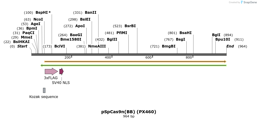 73265_map