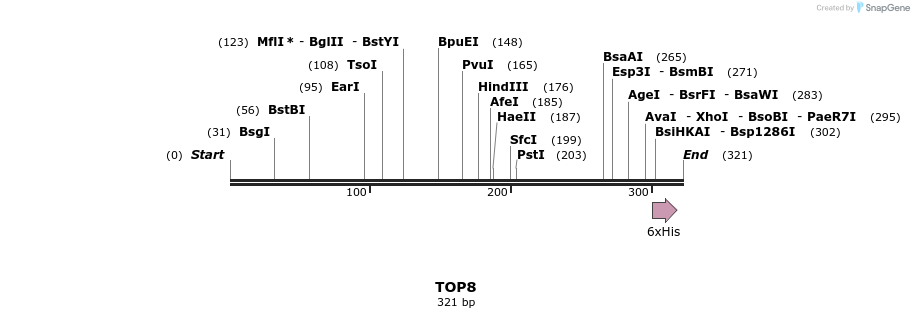 7327_map
