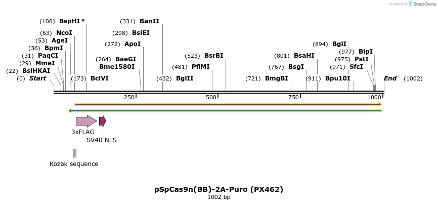 73275_map