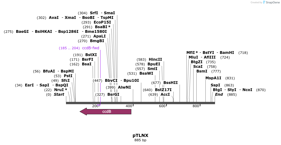 73279_map