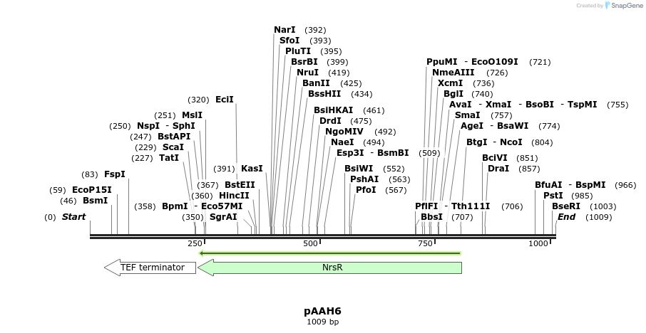 73284_map