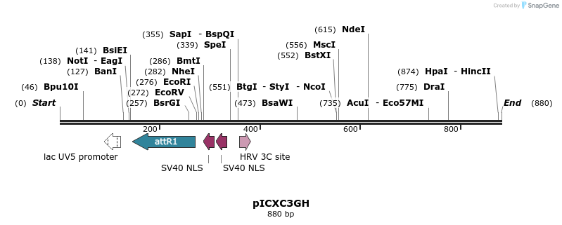 73289_map