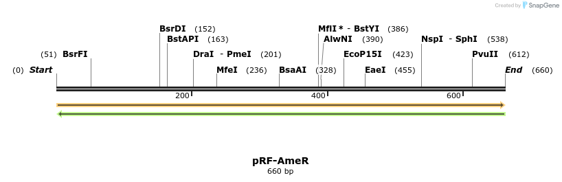 73300_map