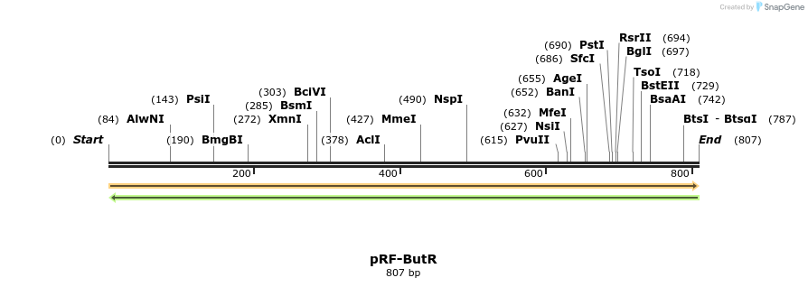 73309_map