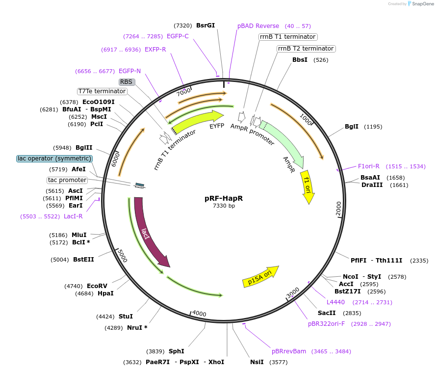 73311_map