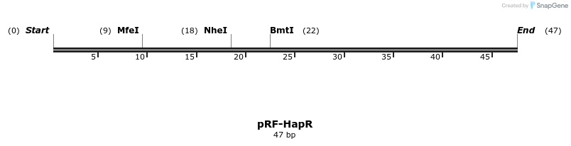 73313_map
