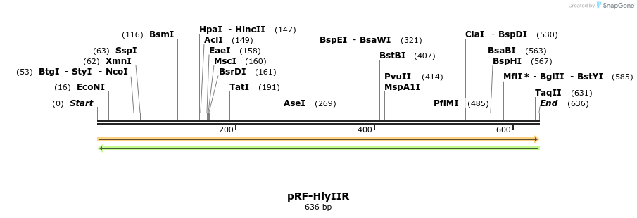 73315_map