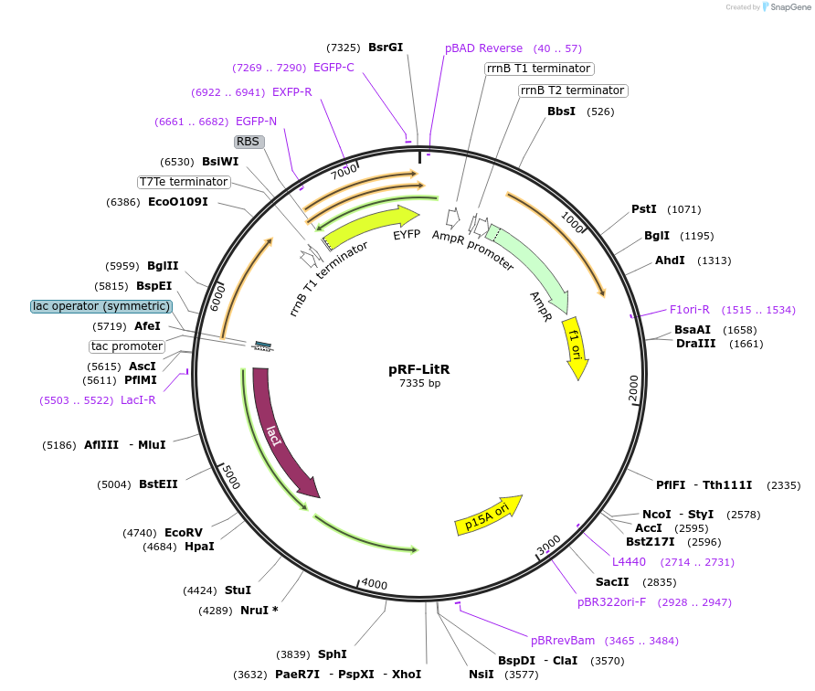73320_map