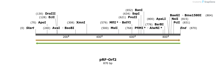 73329_map