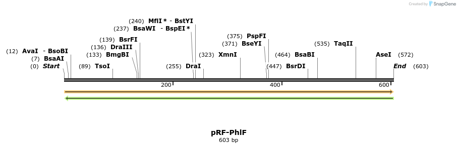 73331_map