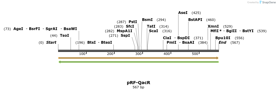 73337_map