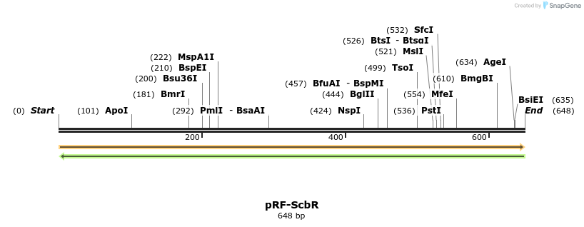 73340_map