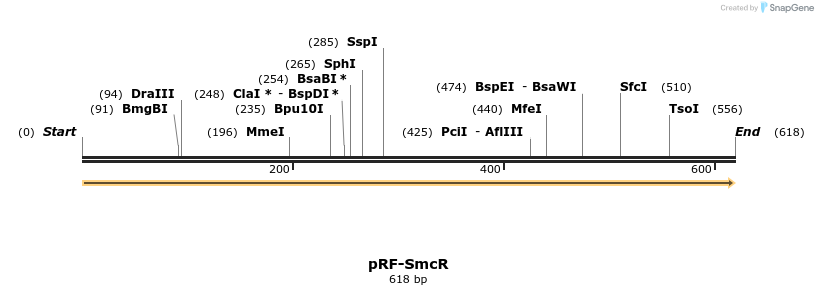 73343_map