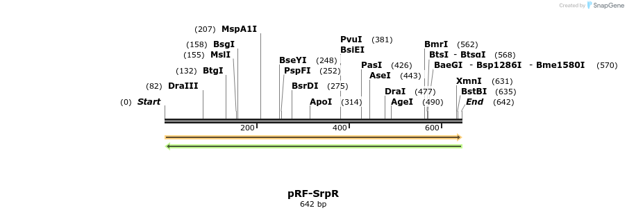 73346_map