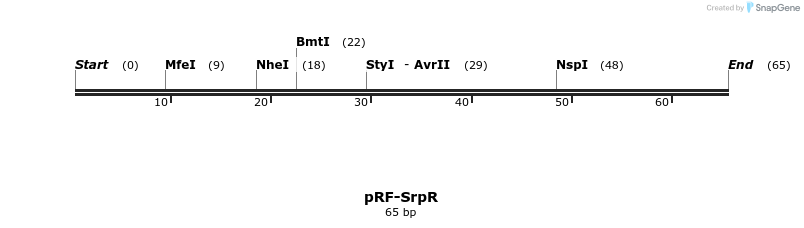73347_map