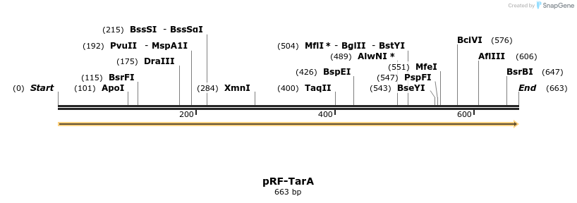 73349_map
