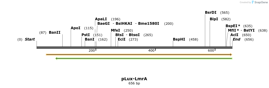 73354_map